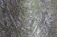 Chapel Chorlton fibreglass roof work